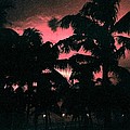 Miami Beach Sunset